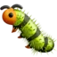 🐛