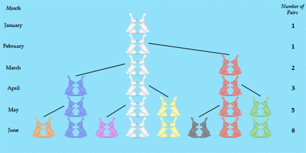 A pair of rabbits produces a new pair each month, and that new pair needs a month before it can itself produce offspring.